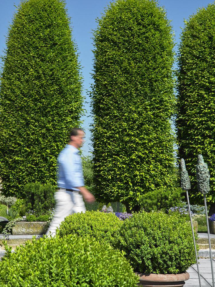 Romantik Parkhotel Het Gulpdal Slenaken Exterior photo